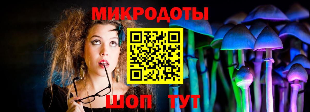 Галлюциногенные грибы прущие грибы Иваново